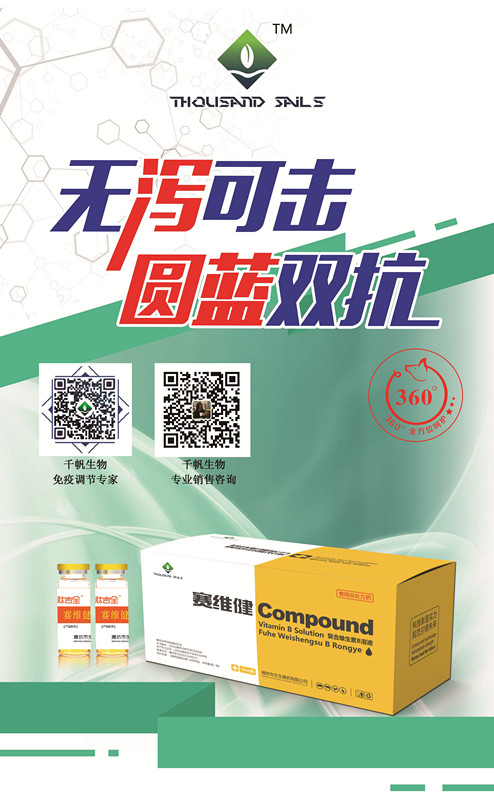 肽吉全展架1_副本.jpg