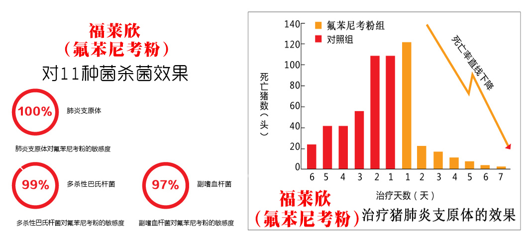 氟苯尼考杀菌效果图.jpg