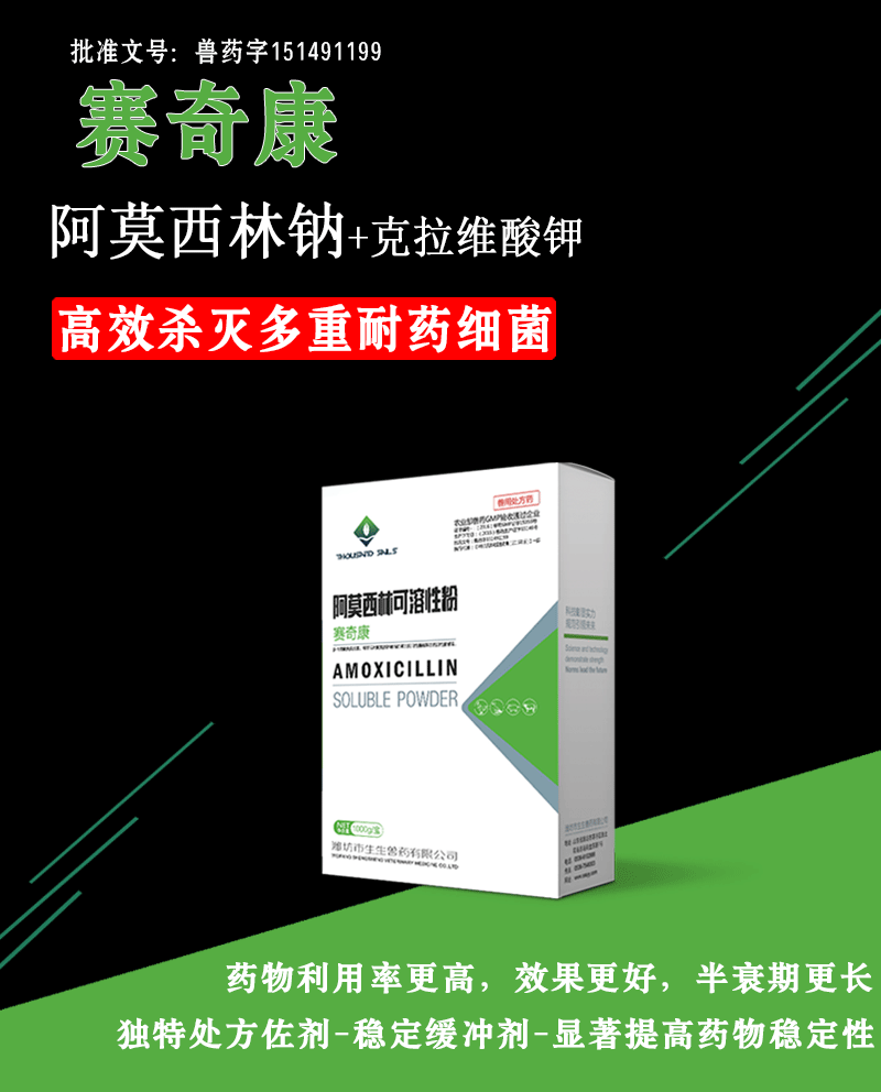 赛奇康—阿莫西林可溶性粉